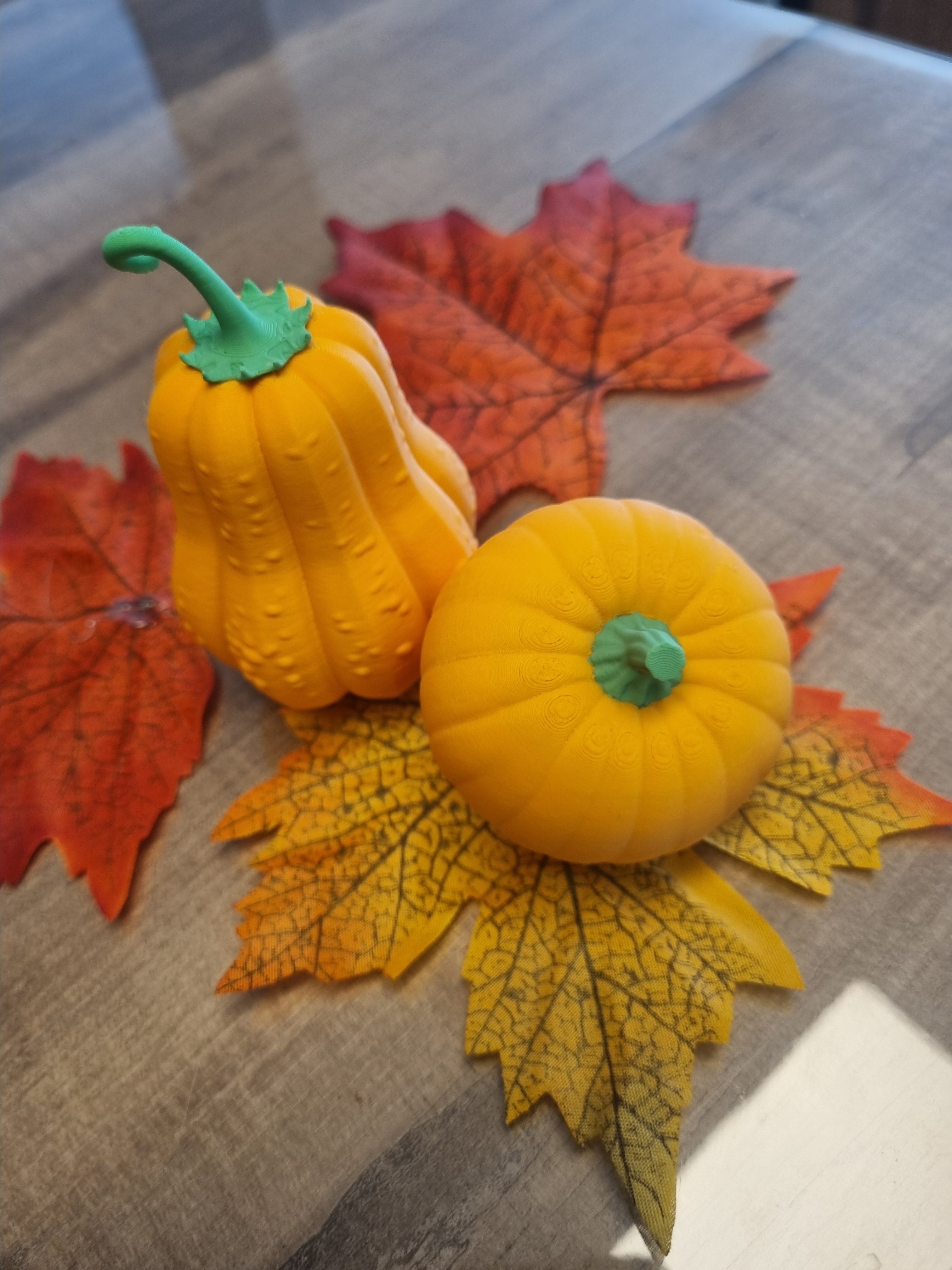 Courge décorative