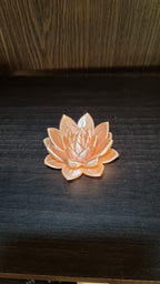 Fleur de lotus