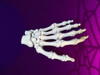 Main Squelettique