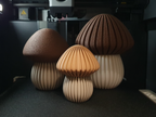 Champignons nervurés en plusieurs coloris et tailles, Tresor3D