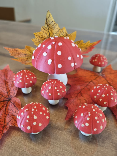 Détail des chapeaux tachetés et pieds blancs des champignons sous-bois, Tresor3D