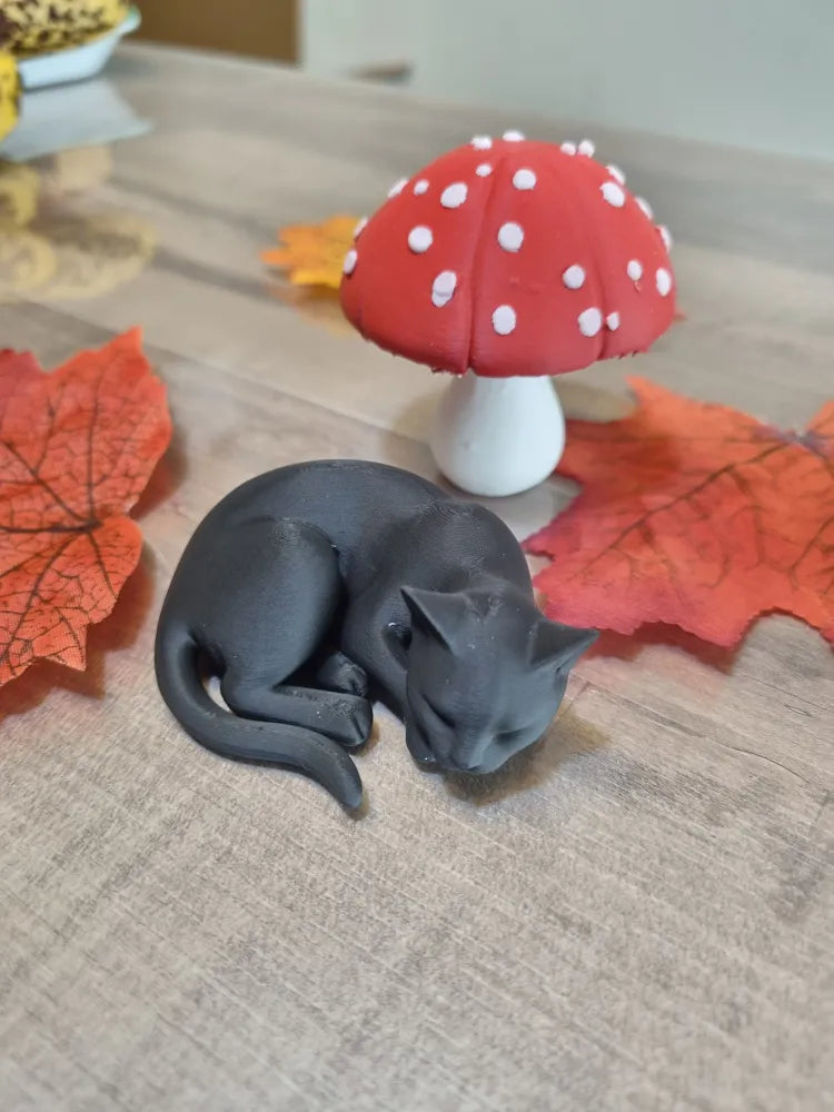 Chat endormi posé en situation sur une étagère, Tresor3D