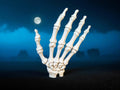 Main squelettique présentoir décoratif Halloween, PLA biosourcé, Tresor3D