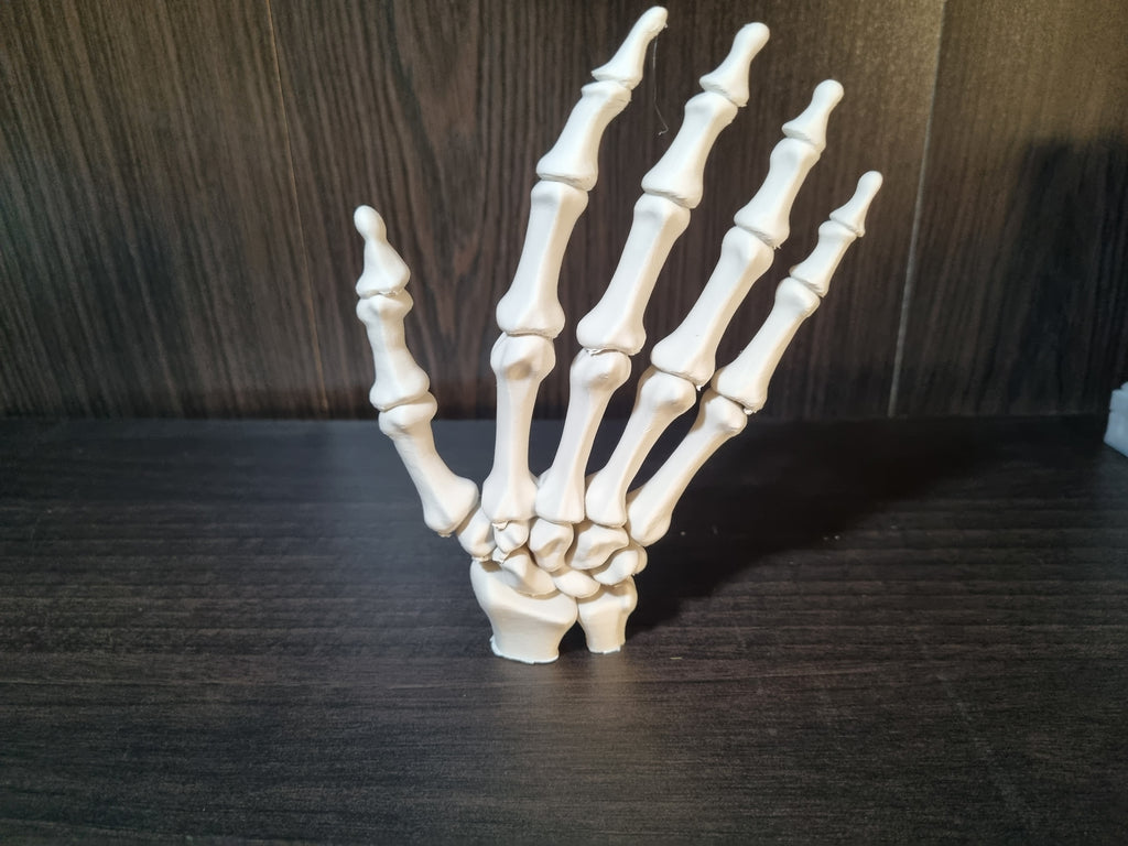 Main squelettique, vue de profil, Tresor3D