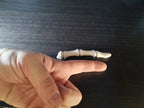 Phalange d'Apothicaire, mise en scène, Tresor3D